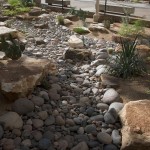 Photo by Pete Smith.