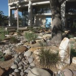 Photo by Pete Smith.