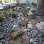 Photo by Pete Smith.