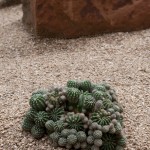 Photo by Pete Smith.