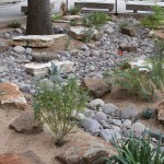 Photo by Pete Smith.