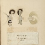 John Evelyn’s hair preserved at three ages in his life.