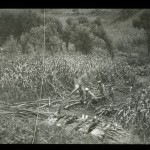 James (Jimmy) H. Hare “Men carrying wood to a pyre in the fields near Lioyang where five dead are laid out,” ca. 1904–1905. Lantern slide.