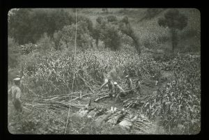 James (Jimmy) H. Hare “Men carrying wood to a pyre in the fields near Lioyang where five dead are laid out,” ca. 1904–1905. Lantern slide.