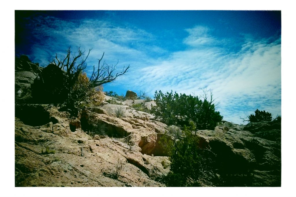 Tsankawi, New Mexico. July, 2014. Photo by Daniel Zmud.