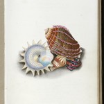 Pages from a commonplace book kept by English poet Robert Southey, a friend and contemporary of Samuel Taylor Coleridge and William Wordsworth. Images courtesy of Harry Ransom Center.