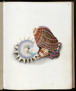 Pages from a commonplace book kept by English poet Robert Southey, a friend and contemporary of Samuel Taylor Coleridge and William Wordsworth. Images courtesy of Harry Ransom Center.