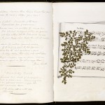 Pages from a commonplace book kept by English poet Robert Southey, a friend and contemporary of Samuel Taylor Coleridge and William Wordsworth. Images courtesy of Harry Ransom Center.