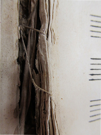 Detail of damaged sewing structure.