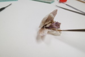 Test run on a non-archival pressed flower.