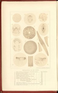 Lionel S. Beale,1828–1906, How to work with the microscope (1868).