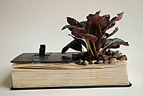 Degrading digital images of collaborative deformations of Gretchen E. Henderson’s Galerie de Difformité. This deformance was watered, with a growth light, by Tricia Shimamura and exhibited in Kenyon College’s Greenslade Special Collections & Archives (2011).