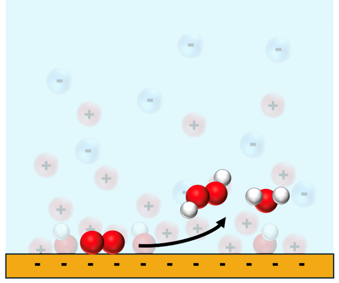 Electrochemical Interface