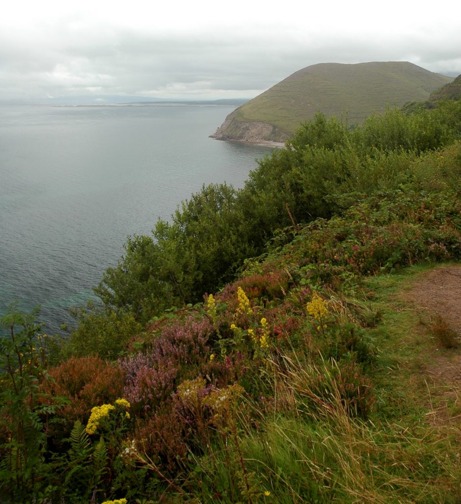 Ring of Kerry Drive 1 -Bierner