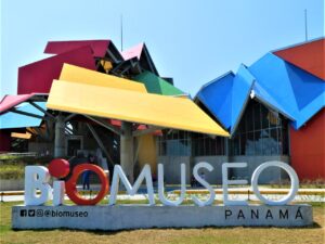 Biodiversity Museum - courtesy of Janet Hicks