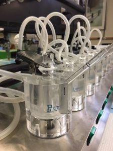 Franz cells for measuring dissolution and permeability of the transdermal drug formulations.
