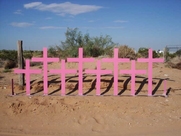 pink crosses in the desert