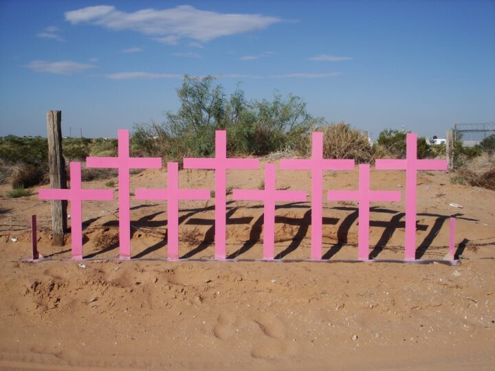 pink crosses in the desert