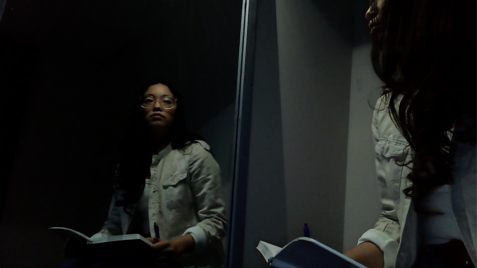 woman holding a book and looking into a mirror