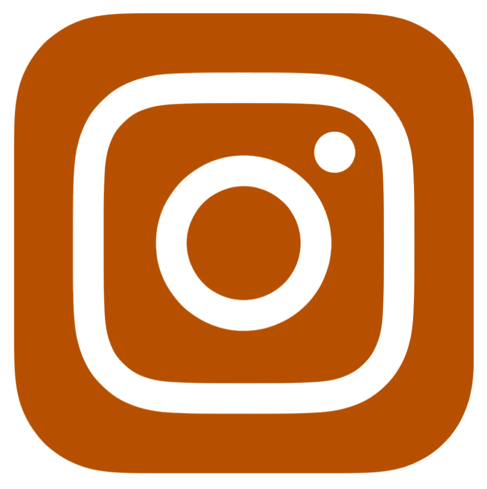 Instagram icon