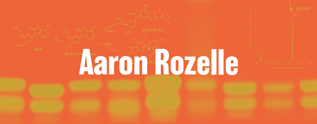 Aaron Rozelle: an engineer’s approach to DNA damage