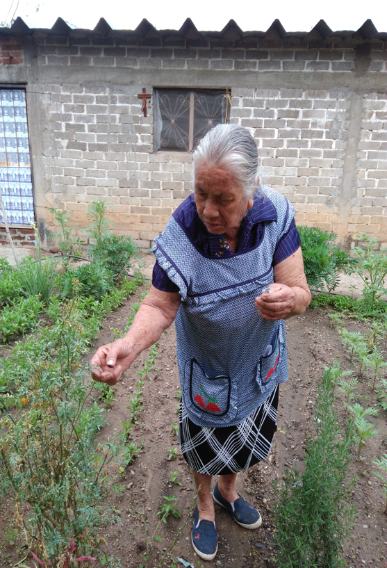 midwife in Oaxaca