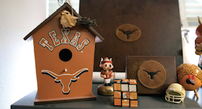 Texas birdhouse