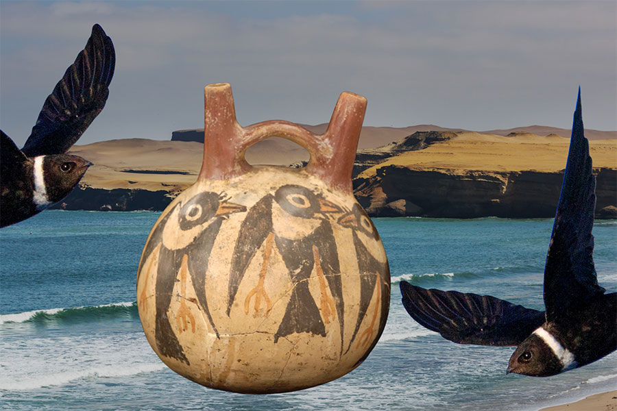 composite image of swifts surrounding gourd vessel