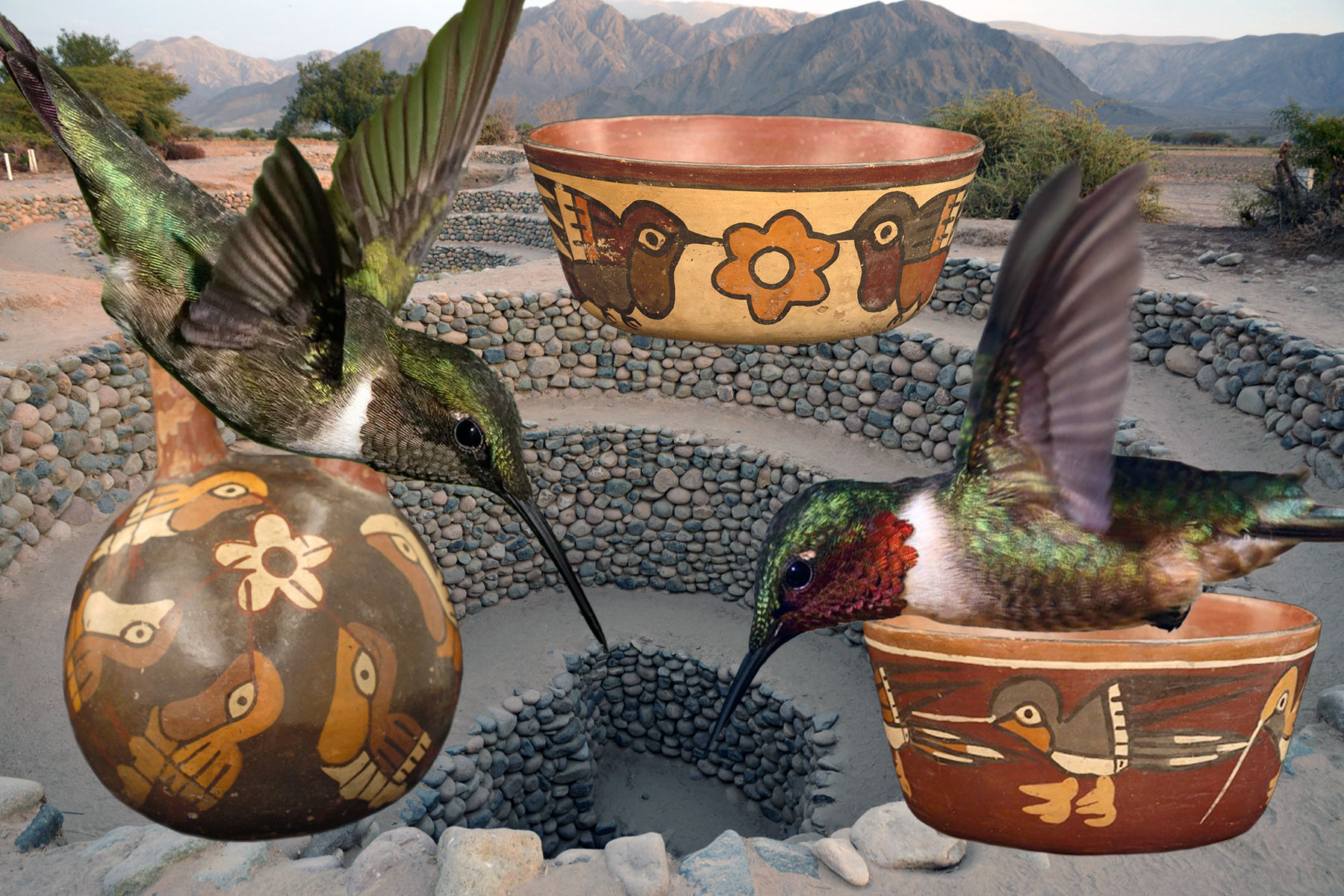 composite image of ceramic objects and hummingbirds