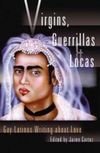 Image of Book Cover for Virgins, Guerillas, and Locas