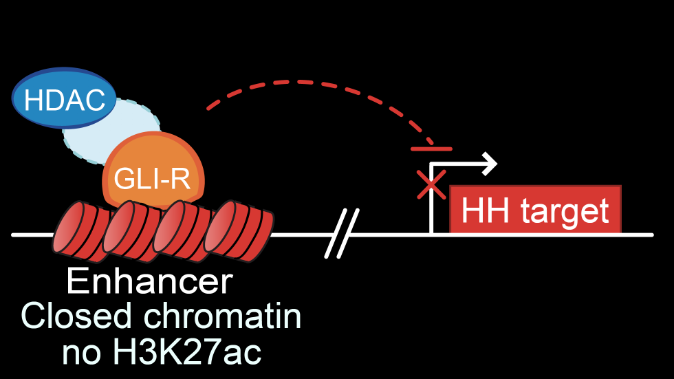 screen_shot_2020-08-03_at_4.14.46_pm