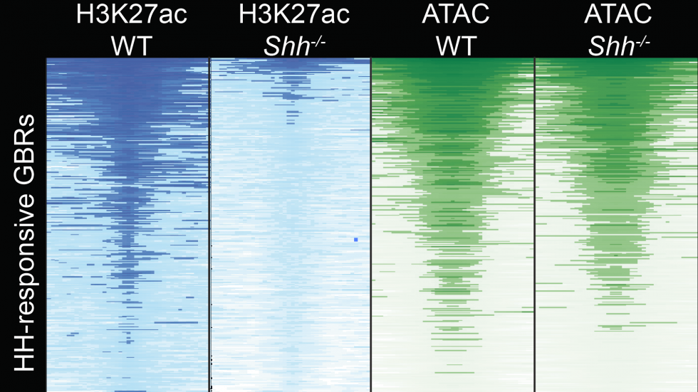 screen_shot_2020-08-03_at_4.54.48_pm