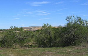 Austin Waste Management Wildlife Park 