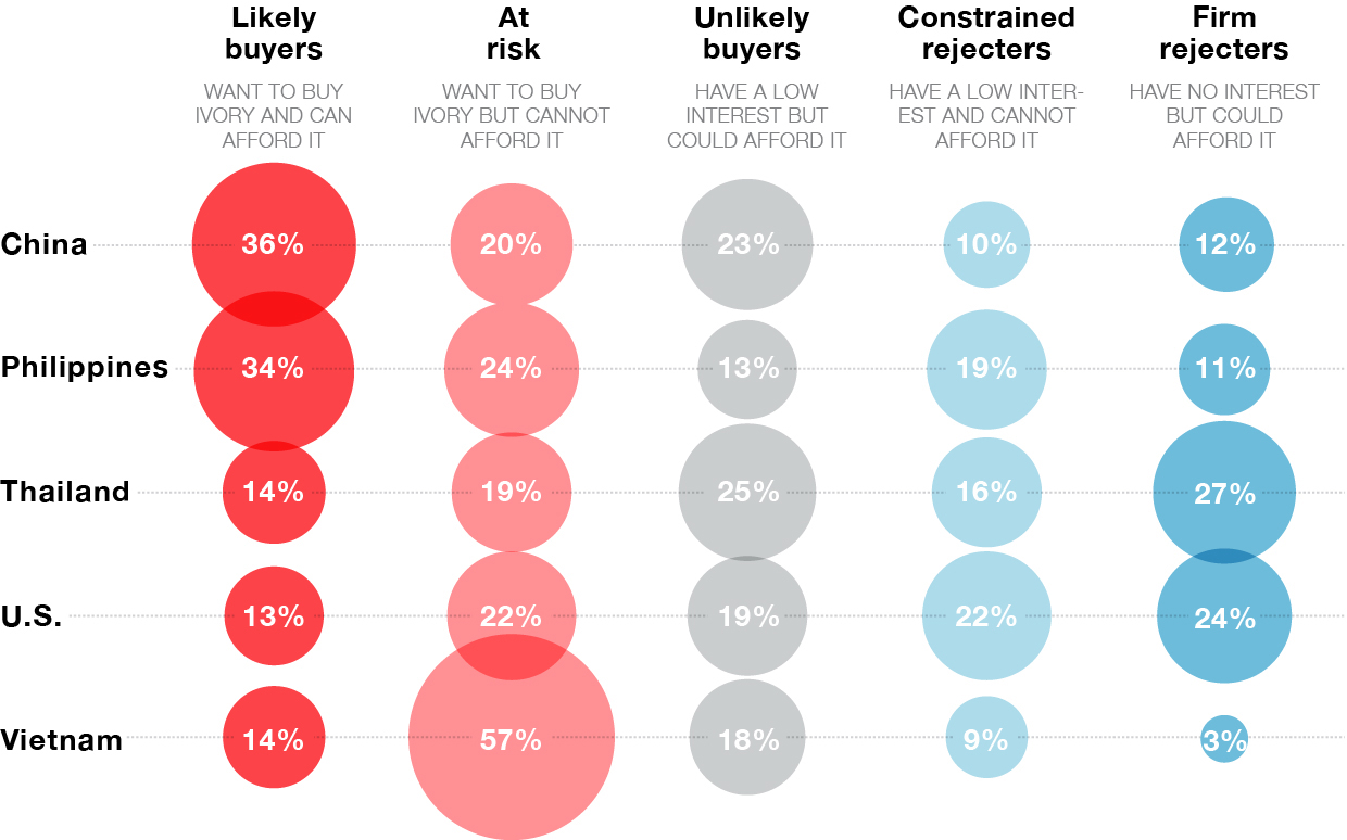 Ivory_Poll-01_NG