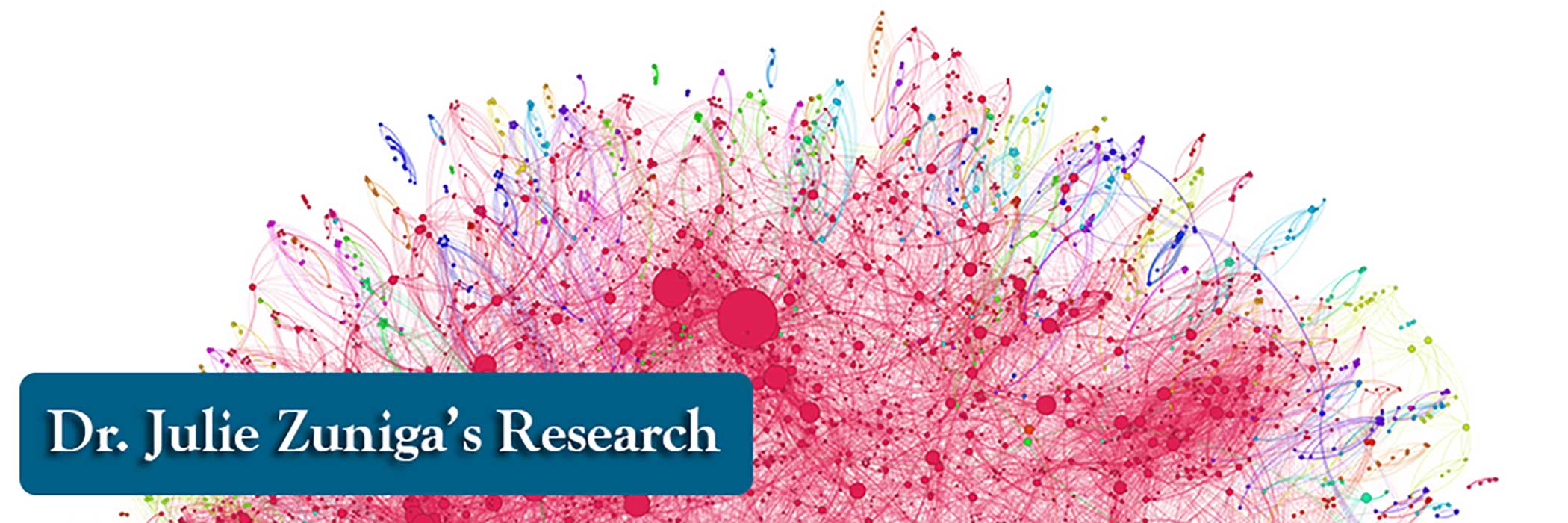 Julia Zuniga's Research